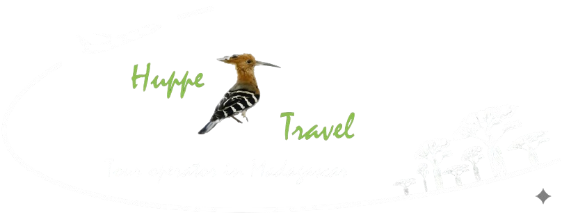 tour operator in Madagascar